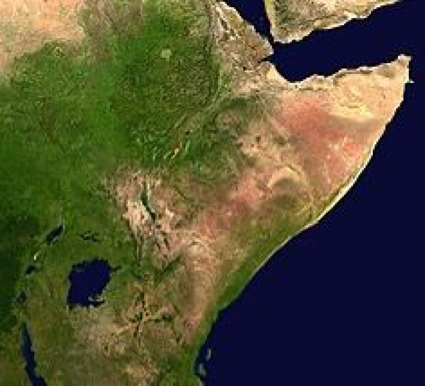 Geopolitical Competition in Africa: The Role of the Horn of Africa in Shaping the International Conflict between the West, Russia, and China